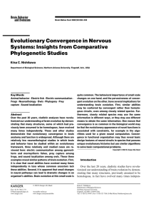 Evolutionary Convergence in Nervous Systems: Insights from