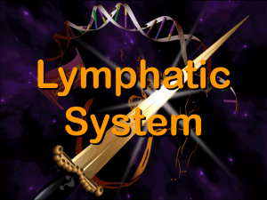 Lymphatic system.pps - Elizabeth Bauer Consults