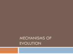 Mechanics of evolution