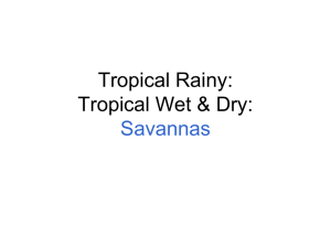 Tropical-Rainy