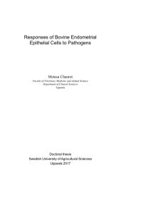 Responses of Bovine Endometrial Epithelial Cells to Pathogens