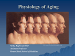 Physiology of Aging
