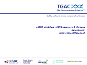 brief introduction to mirnas