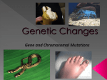 Genetic Changes - Down the Rabbit Hole