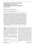 Fragmentation pathway for glutamine identification: Loss of 73 da