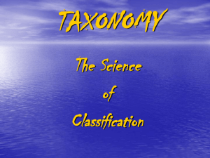 taxonomy - Zoology!