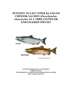 Klamath Chinook Petition Final