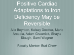 Adaptive Cardiac Hypertrophy May Be Reversible