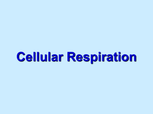 2 - ATP