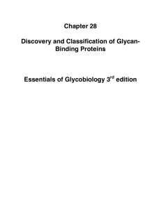 Chapter 28 Discovery and Classification of Glycan