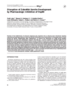Disruption of Zebrafish Somite Development by Pharmacologic