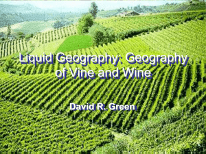 Liquid Geography: Geography of Vine and Wine