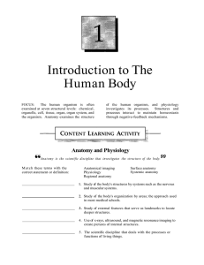 Introduction to The Human Body