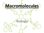 Macromolecules 2016