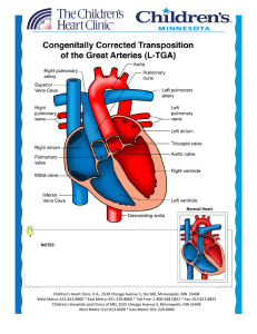 L-TGA - Children`s Heart Clinic