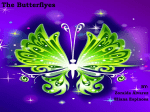 The Butterflyes