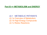 3.1 METABOLIC PATHWAYS §3.1a Overview of