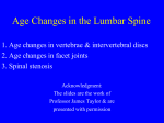 Age Changes in the Lumbar Spine