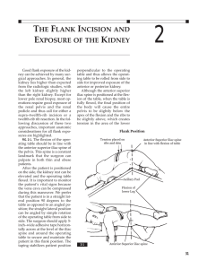 the flank incision and exposure of the kidney