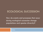 Ecological Succession