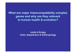 What are major histocompatibility complex genes and why are they