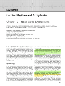 Cardiac Rhythms and Arrhythmias Chapter 12 Sinus Node