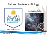 Cell and Molecular Biology