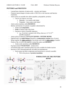 PEPTIDES and PROTEINS