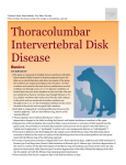 Thoracolumbar Intervertebral Disk Disease