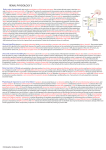 Renal Physiology 3