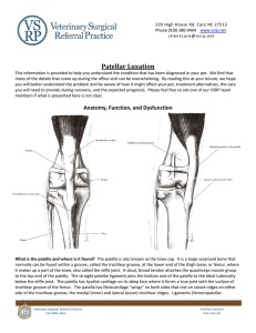 Patellar Luxation