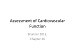 Assessment of Cardiovascular Function
