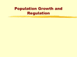 Population pp