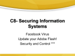 Securing Information Systems