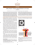 GABA Receptors: Subtypes, Regional Distribution, and Function