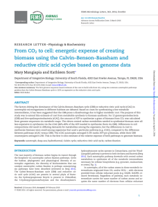 From CO2 to cell: energetic expense of creating biomass using the