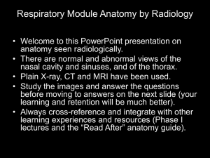 Respiratory Anatomy by Radiology Lecture