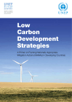 Low Carbon Development Strategies