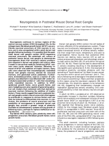 Neurogenesis in Postnatal Mouse Dorsal Root Ganglia