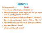 mitosis - thevignanam