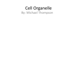 Cell Organelle - Monroe County Schools