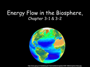 BIOSPHERE Chapter 3