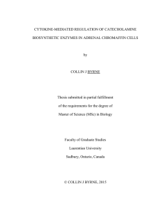 C. Byrne - Thesis Final (2015-12-18)