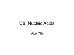 C8. Nucleic Acids