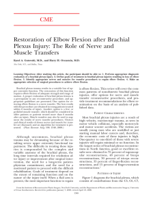 CME Restoration of Elbow Flexion after Brachial Plexus Injury: The