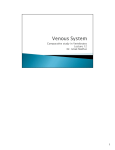 Lecture 12- Venous System by Dr. Istiak Mahfuz