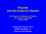 fluoride and the endocrine system