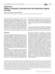 PRH/Hex - Biochemical Journal