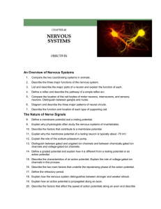 An Overview of Nervous Systems 1. Compare the two coordinating