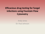Efficacious drug testing for fungal infections using Fountain Flow